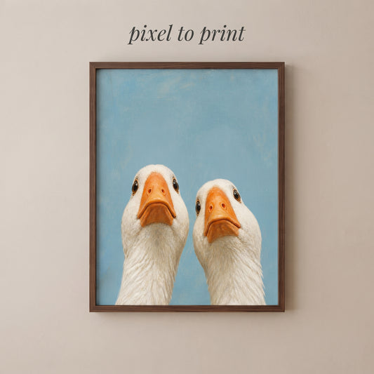 Funny Goose Duo Wall Art | Curious Duck Portrait Print